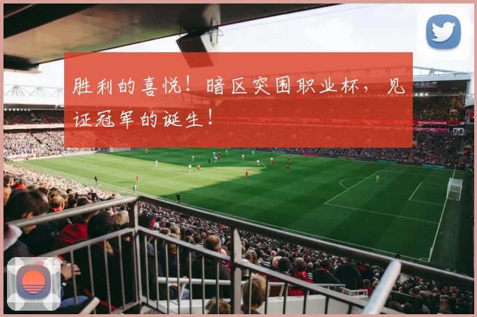 胜利的喜悦！暗区突围职业杯，见证冠军的诞生！