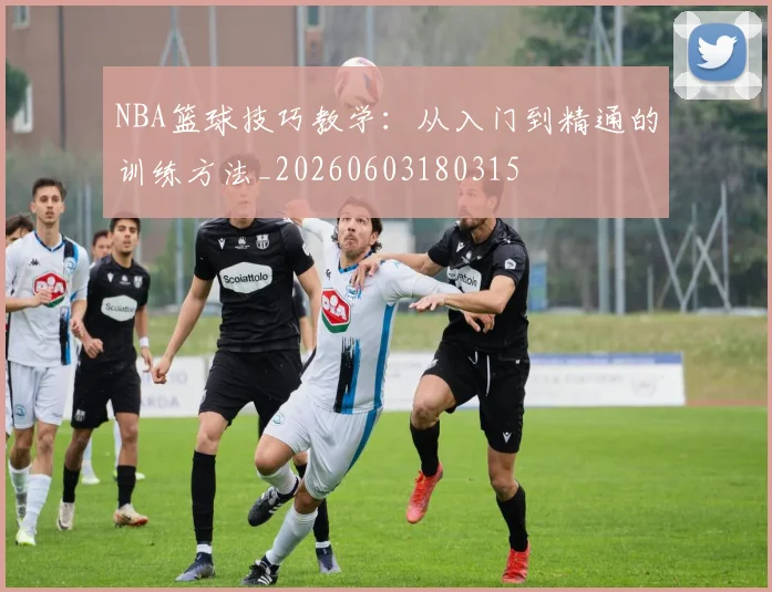 NBA篮球技巧教学:从入门到精通的训练方法_20260603180315